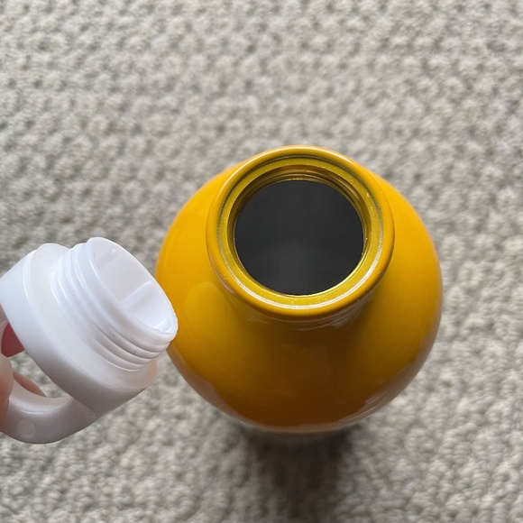 Limited Edition Preorder Pikmin 4 Stainless Steel Waterbottle With Twist Off Lid - Picture 7 of 8